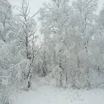 Arctic River Apartmán *