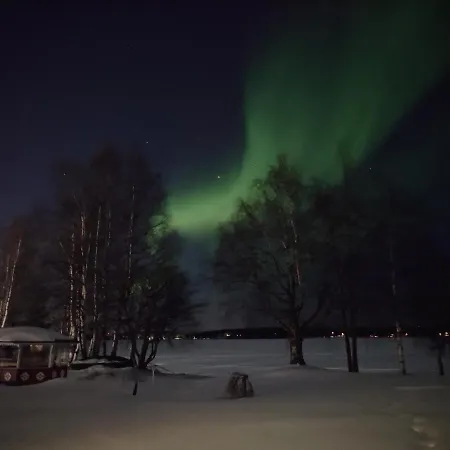 Arctic River *