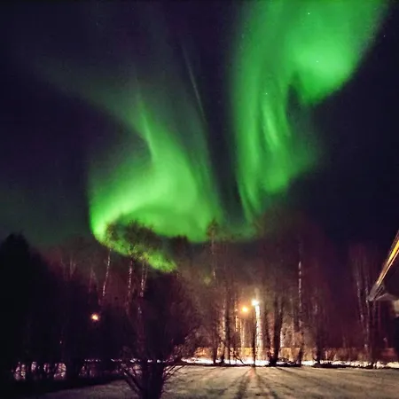 Arctic River * Rovaniemi