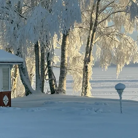 Arctic River *