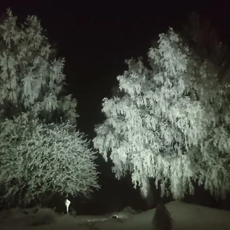 Arctic River Huoneisto