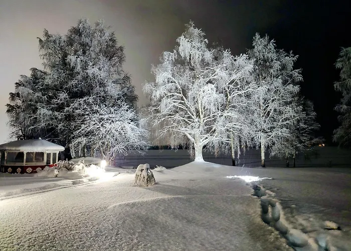 Arctic River Appartamento *