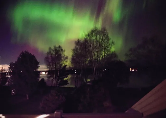 Arctic River Rovaniemi