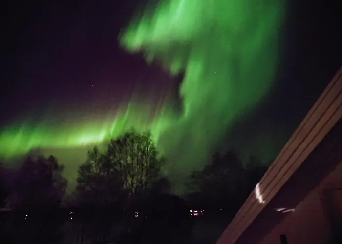 Arctic River Апартаменты