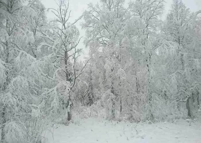 Arctic River Appartamento *