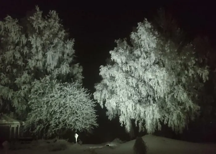 北极河公寓 公寓
